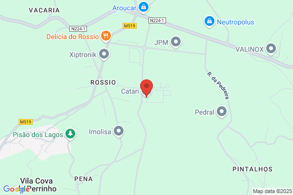 Catari
