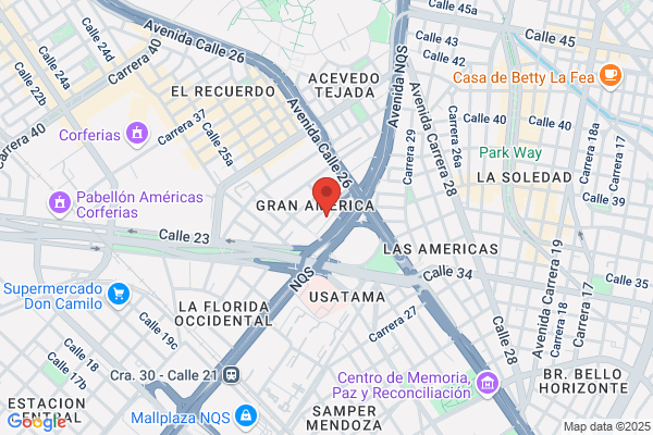 Padres Vicentinos