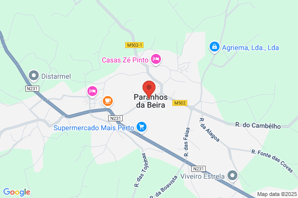 Sofia Ricardo Borges