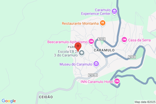 Agência Funerária Do Caramulo Lda