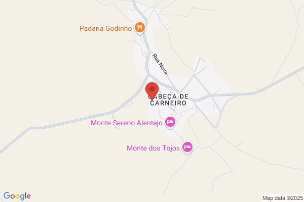 Maria A G Parreira Machado
