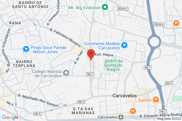 Eduardo A Gouveia Fernandes