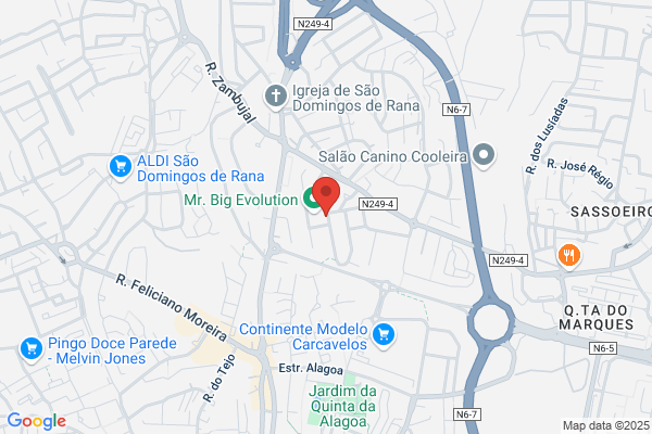 Espaiofone-Electranica E Telecomunicaiåes. Lda