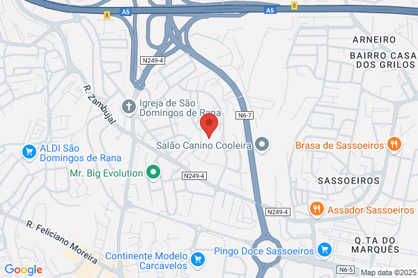 Milenio-Publicidade E Marketing Comportamental. Sa