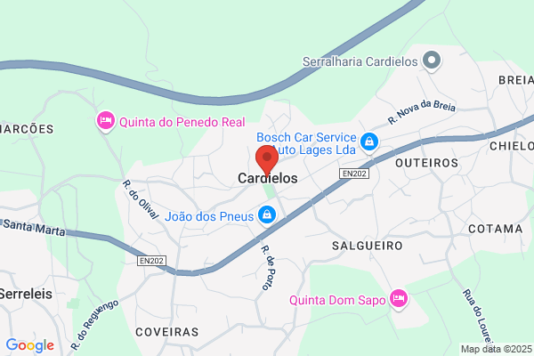Iracema Lopes Silva