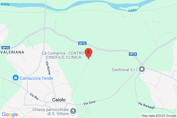 Consultório Veterinário Do Caniço