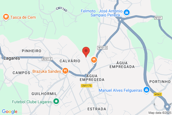S G N-Sociedade De Gelatinas Do Norte. sa