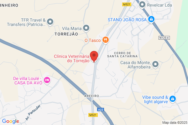Clínica Veterinária Do Torrejão Lda