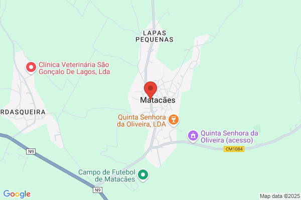 Ana M Gonlves Morais