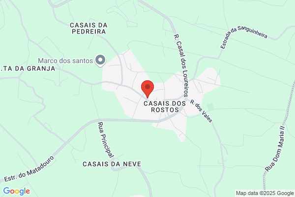 Maria A J Santos Alves