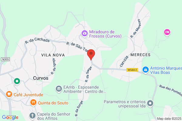 Maria H Silva Figueiredo