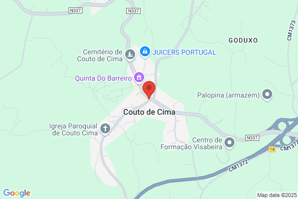 Tristao Alves Do Couto