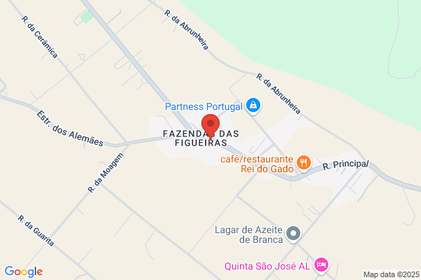 Fundação José Nunes Martins