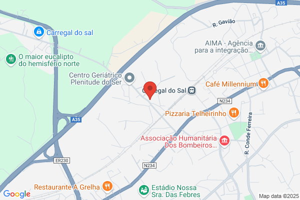 Fátima C F Gomes Rodrigues
