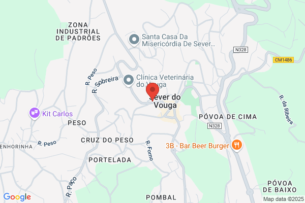 Ernesto Pinto. Genro & Sobrinho. Lda