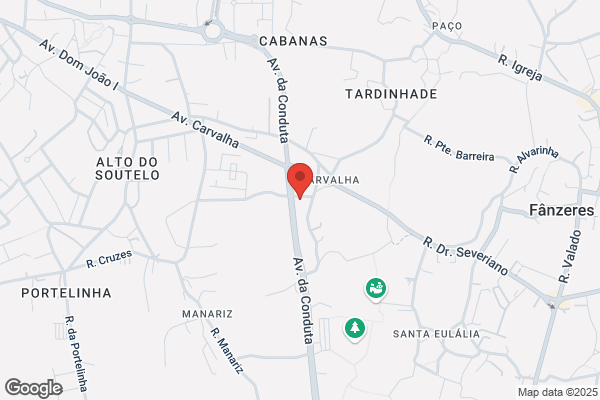 Rancho Folclco De Dans E Cantares As Farrapeirinhas De baguim Do monte