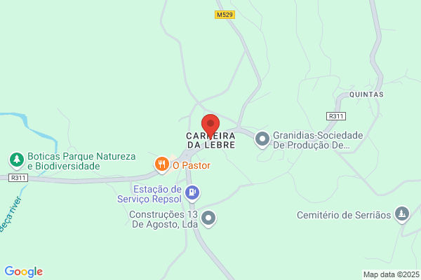 Carlos M Ribeiro Machado