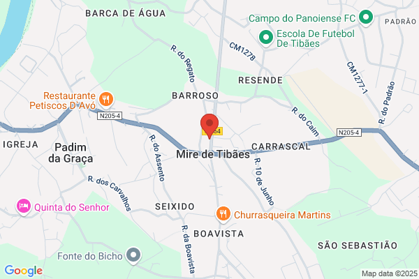 Maria G Martins Pinheiro