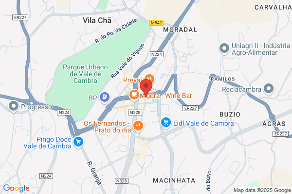 Agencia De Viagens E Turismo De Vale De cambra. lda