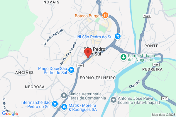 L Pedro G Silva. Lda