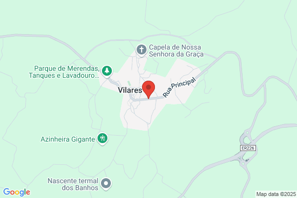 Rosa Vilares