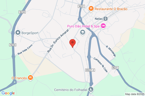 Rui P M Pinto Nunes