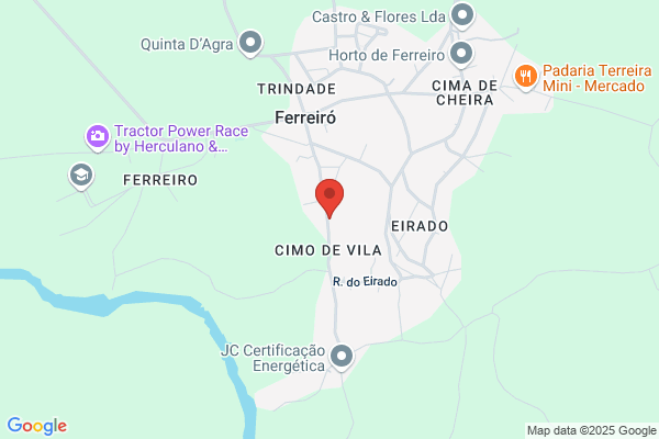 António C S Ferreira Vieira