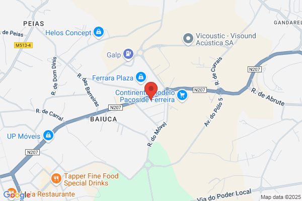 Raizdata-Servió E Comãio Empresariais Lda