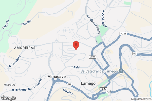 Lamego De Azevedo