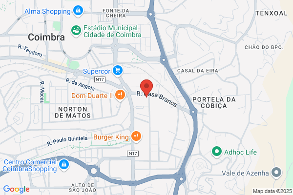 Margarida M G Soares Teves