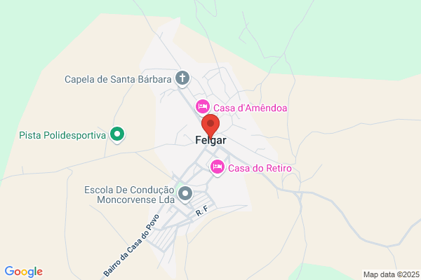 Teresa Mafalda Felgar