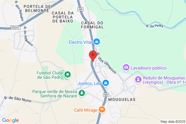 Virgínia A S Brás Moura