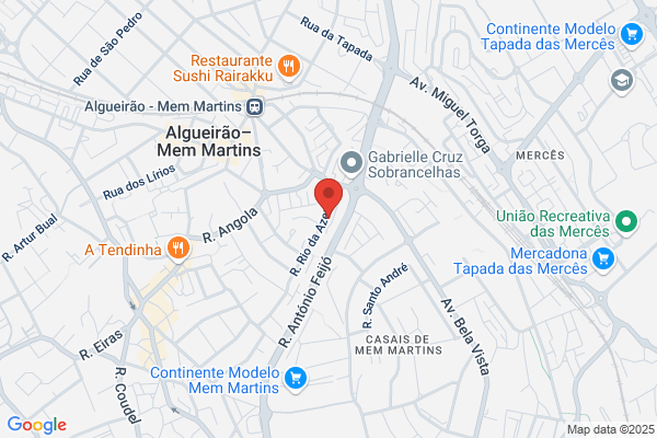 Ensaio Méco-Fisioterapia E Acupunctura
