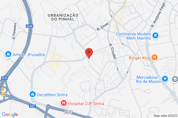 Maria F Conde Carvalheiro
