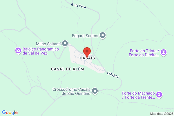 Cecia M M Santos Alvito
