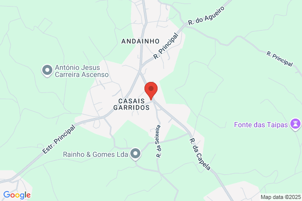Elsa C H Garrido Custodinho