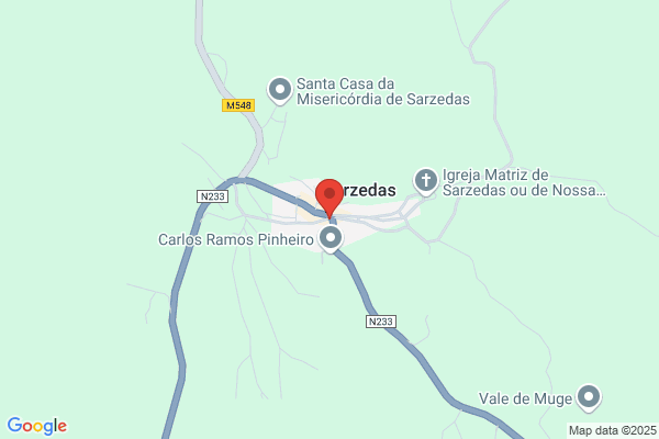 Joao Manuel De Oliveira Sarzedas