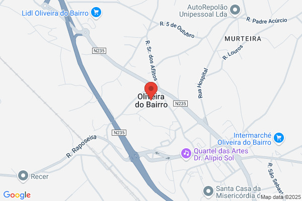 Optidirecto de Susana Oliveira