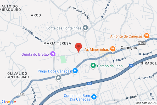 Freitas,celso Pimenta