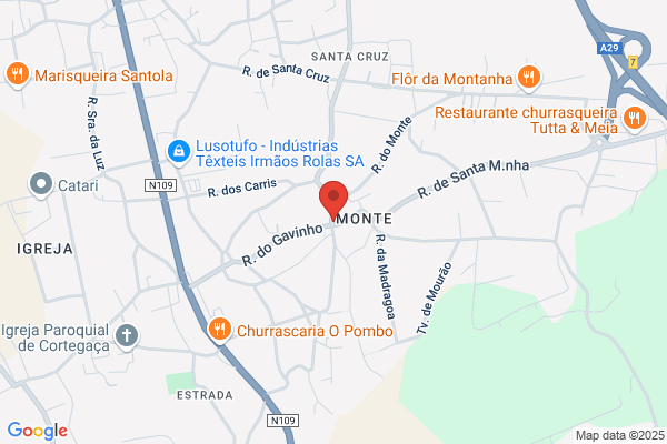 Maria Olinda Ribeiro Gomes Carvalho