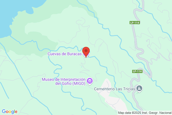 Florbela M C Simàsa|