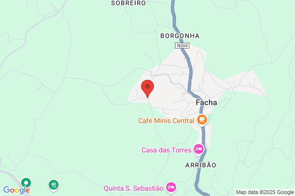 Sociedade De Construiåes Armorindo Coelho & Coelho. lda