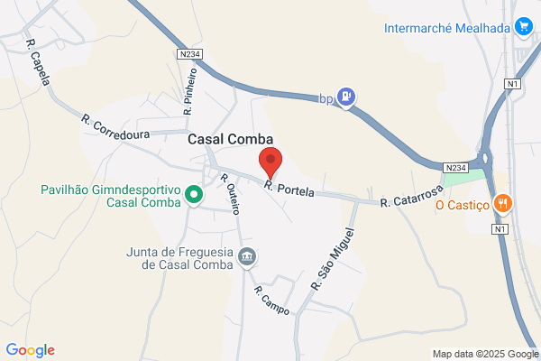 Graça M Carvalho Soares