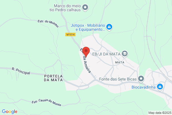 Sociedade De Alumenios Neves & C. Lda