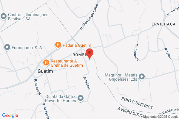 Joaquim Antanio Gomes Pereira Da Costa E jose Gomes Correia