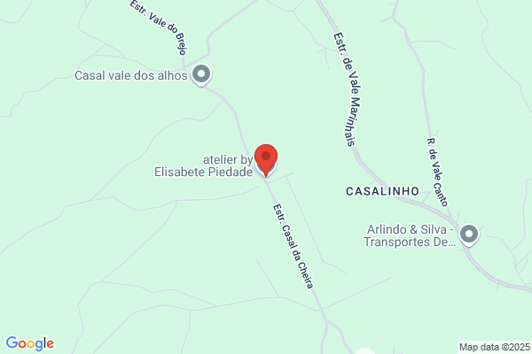 Elisabete M Carreiro Pinho