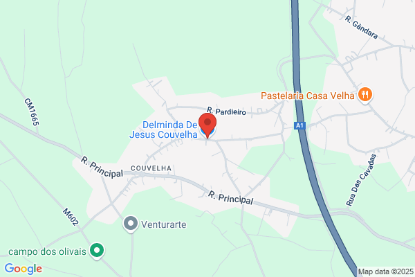 Delminda P Cardoso Ruivo