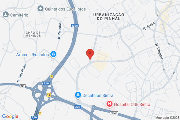 Paula A A Monteiro Martins