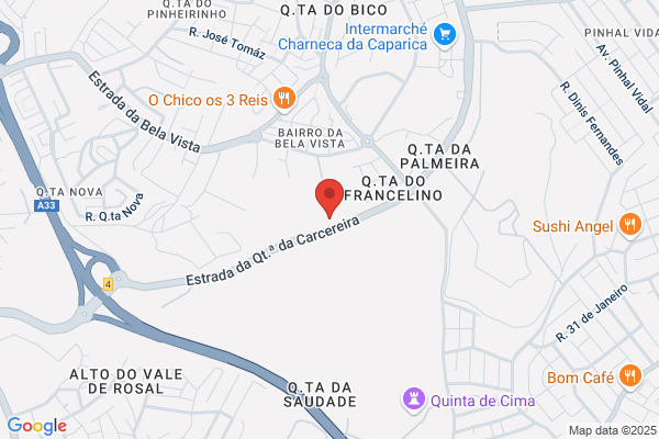 Virgio V Ribeiro