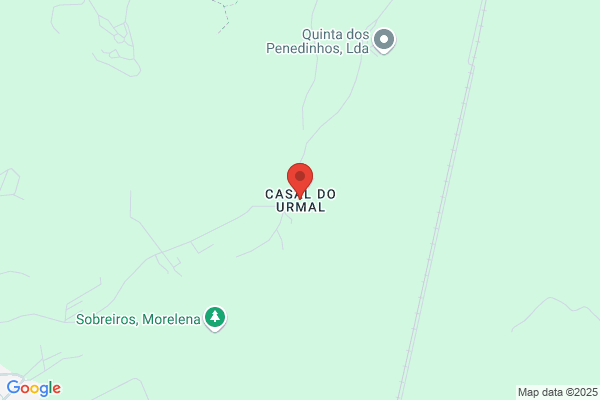 Ema V Rodrigues Carvalho